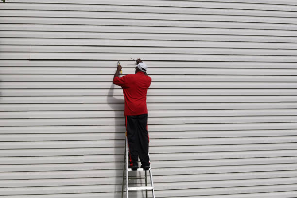 Best Aluminum Siding Installation  in Wren, AR