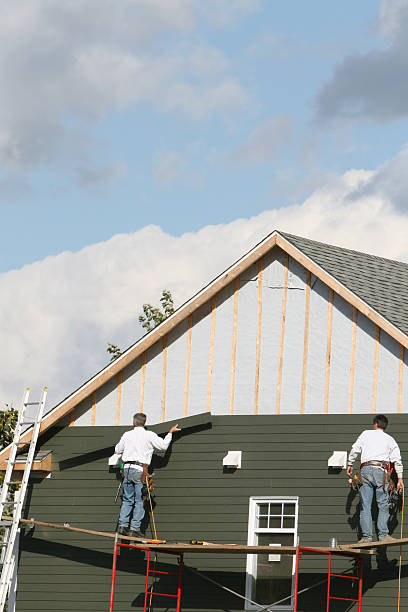 Best Steel Siding Installation  in Wren, AR